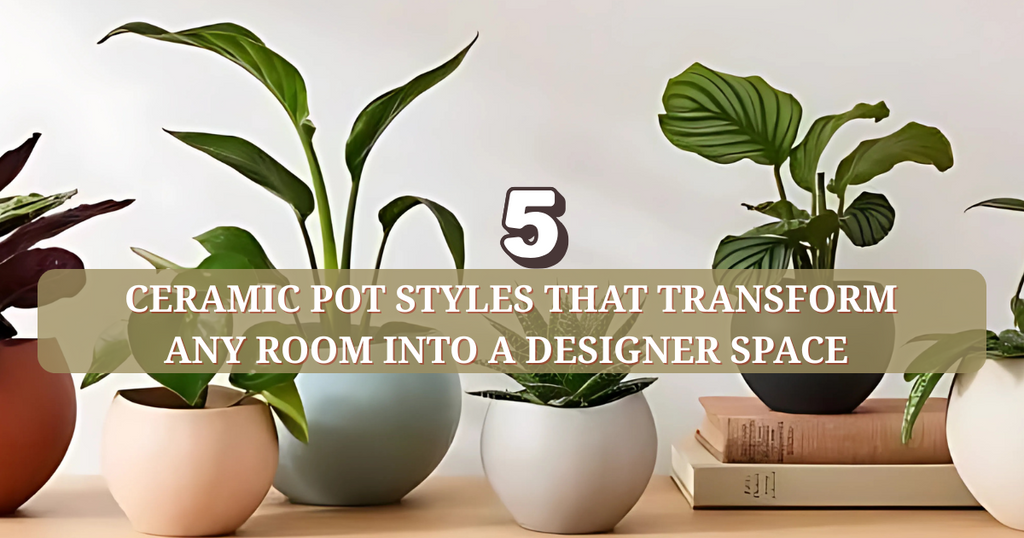 5 Ceramic Pot Styles That Transform Any Room Into A  Designer Space