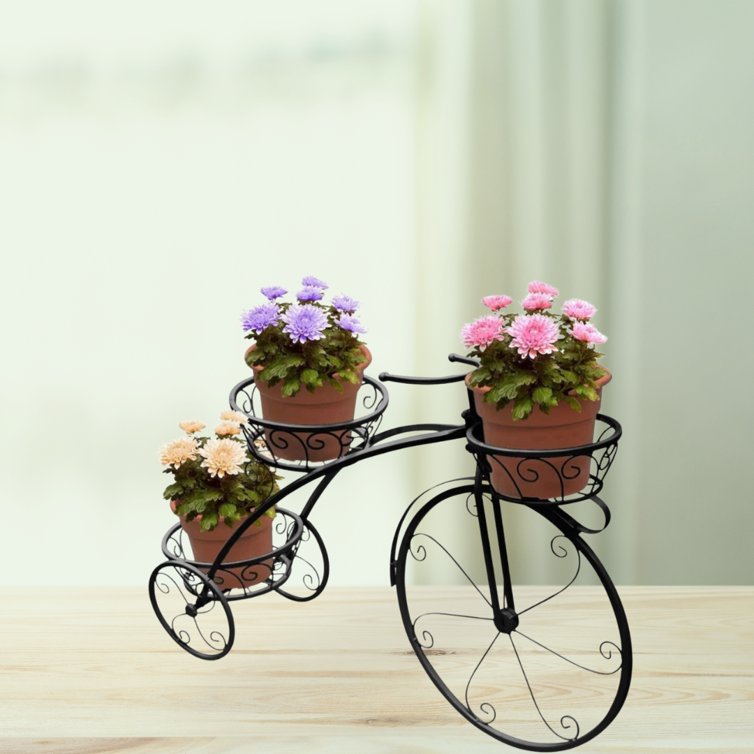3-pot decorative cycle planter