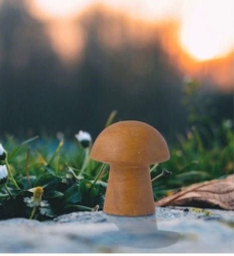 Miniature mushroom - garden decor