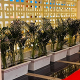 Vista premium garden planter