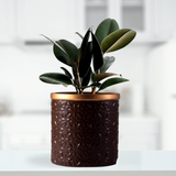 Brown Ceramic Pot with Golden Rim