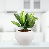 White apple-style ceramic planter