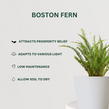 Monsoon gardening combo kit