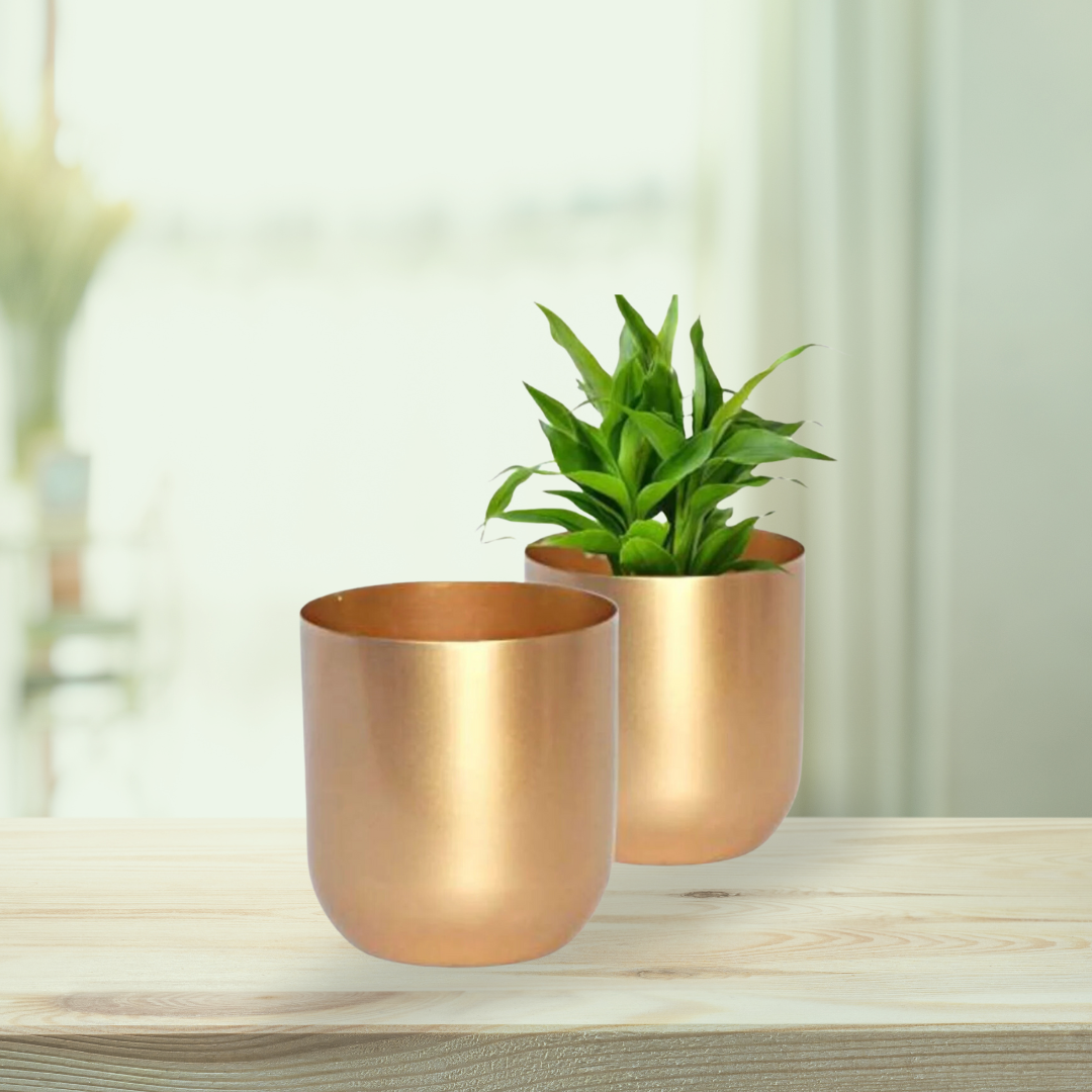 Small gold planter for shelf or table