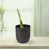 Black Matt finish pot for tables