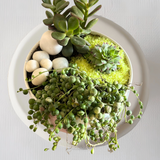 Premium garden delight gift set