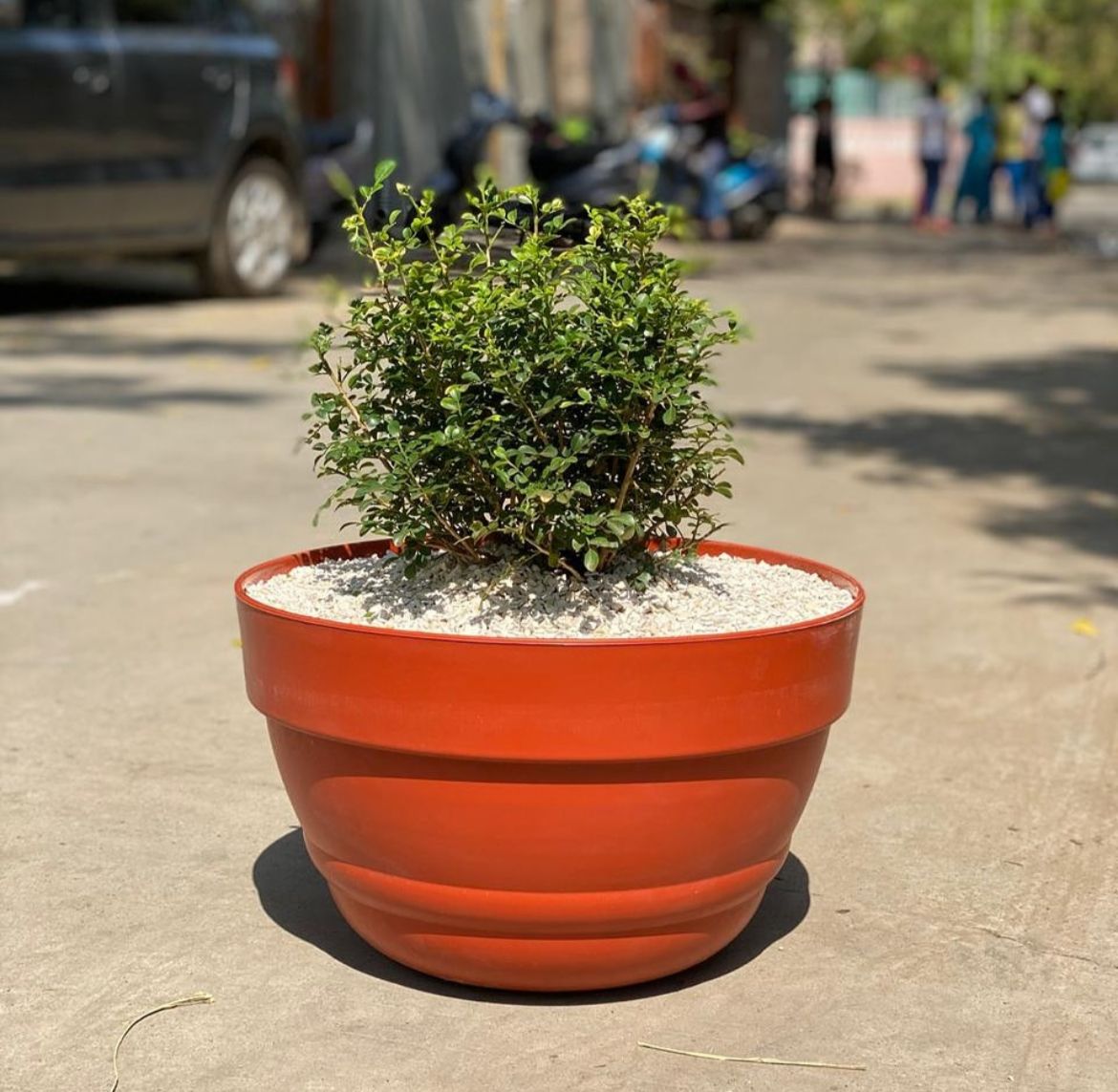 Decorative plastic bowl pot