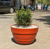 Decorative plastic bowl pot