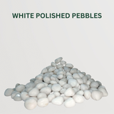 Polished Pebble Combo White Polished Pebbles- Gardengram
