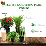 Monsoon gardening combo kit