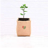 Jute fabric grow bag