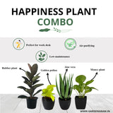 Happiness-themed plant combo