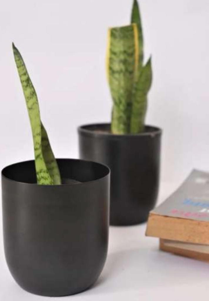Matte black table planter