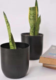 Matte black table planter