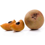 Chikoo (sapota) plant