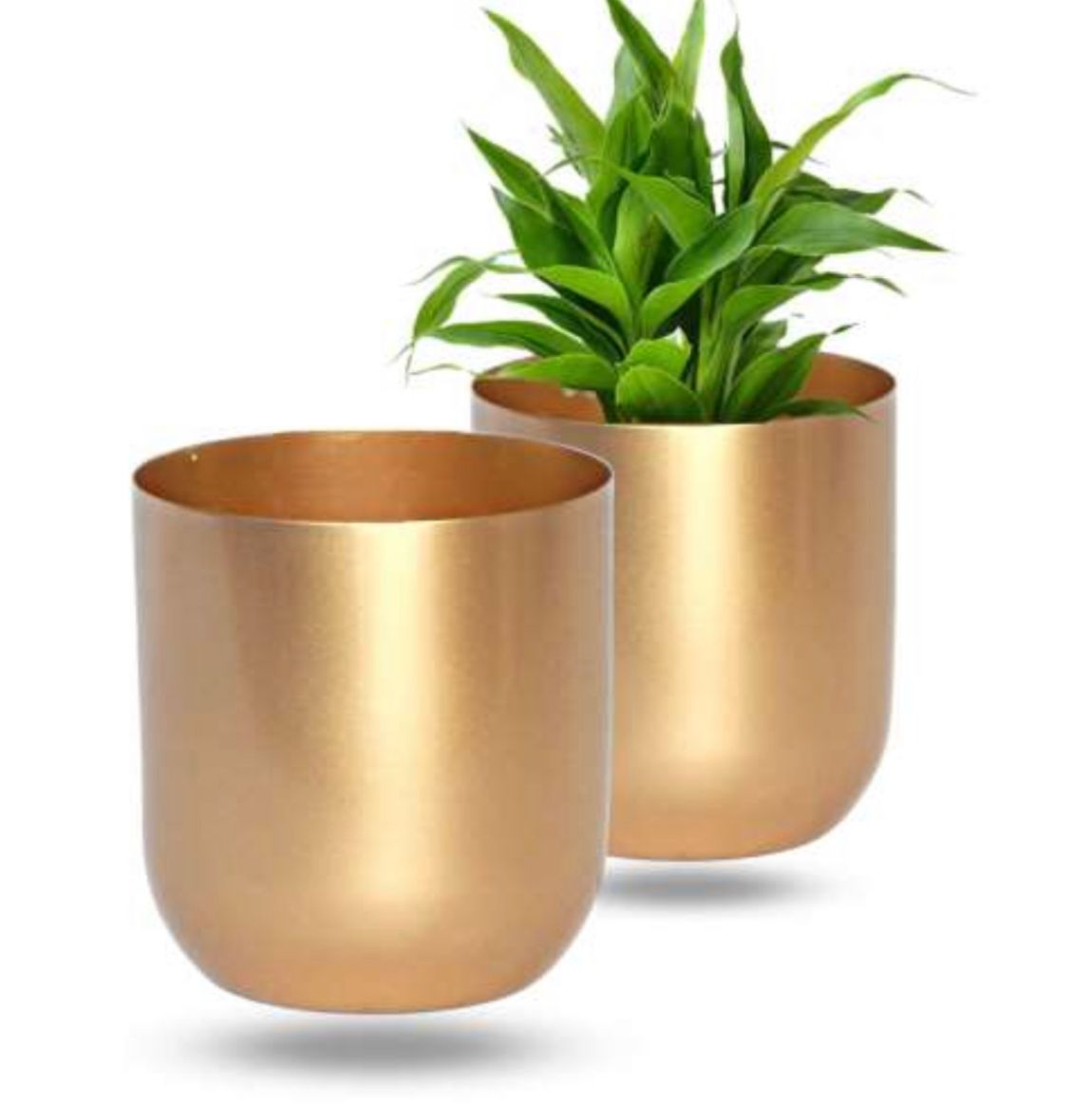 Small gold planter for shelf or table
