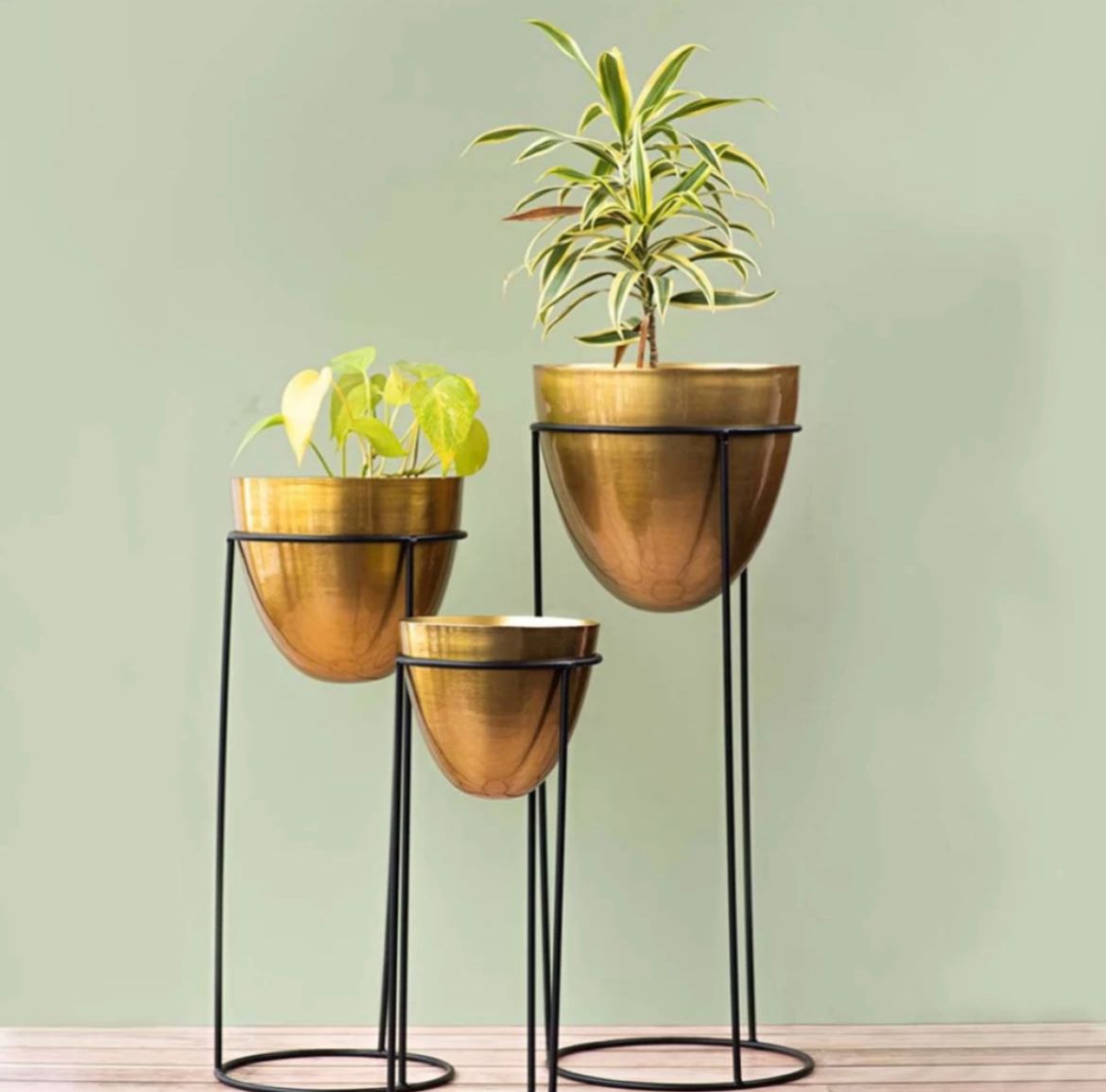 Golden indoor pot and stand combo
