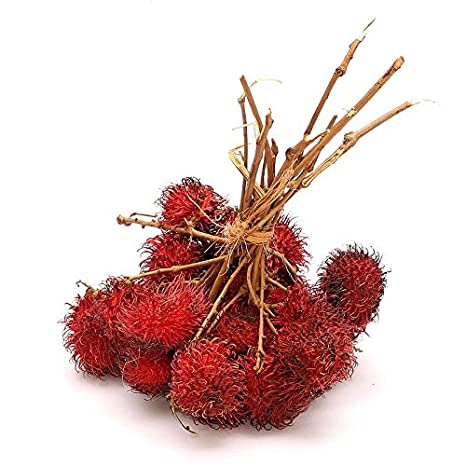 Rambutan fruit tree