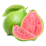 Taiwan pink Amrud guava plant