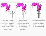 Garden plant support sticks set
