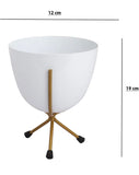 White egg pot for indoor decor