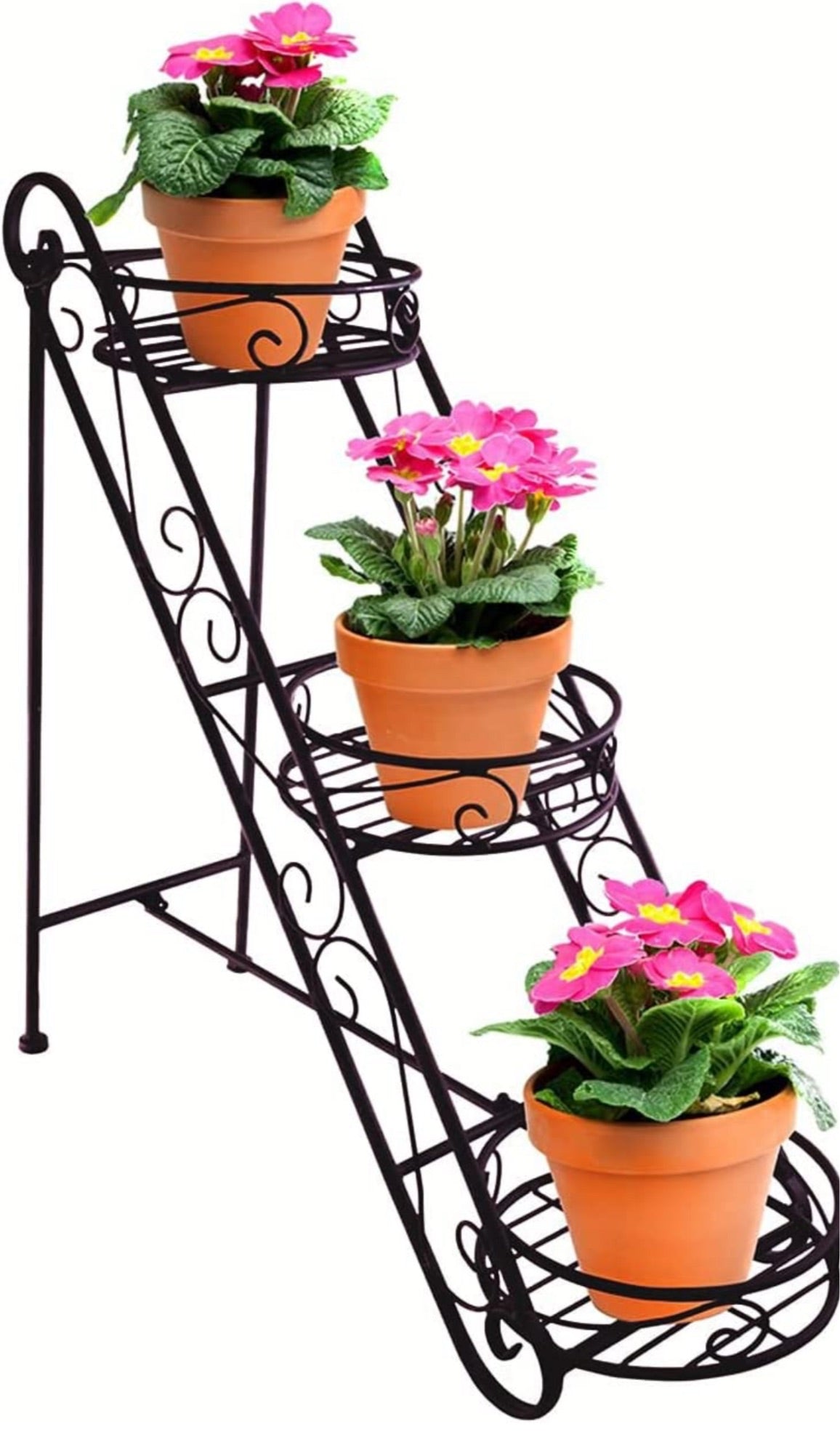 Indoor vertical plant holder