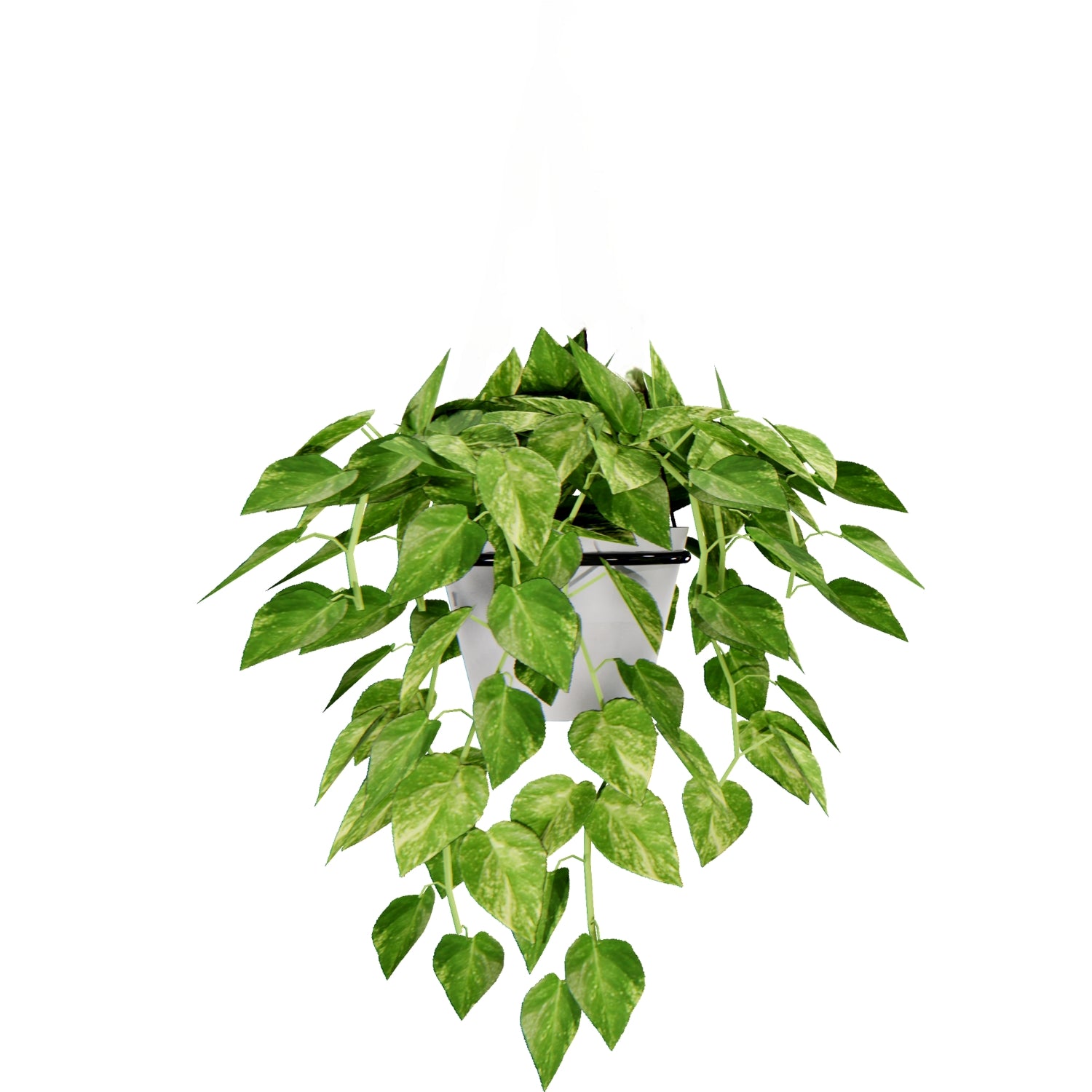 Monsoon gardening combo kit