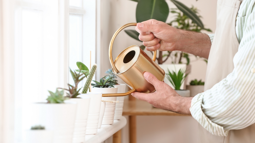 10 Golden Rules For Watering