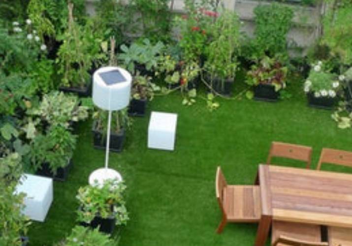 Basics of Terrace Gardening