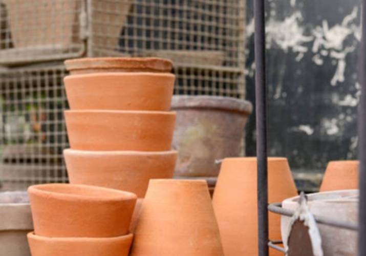 How to choose the ‘right’ plant pot?