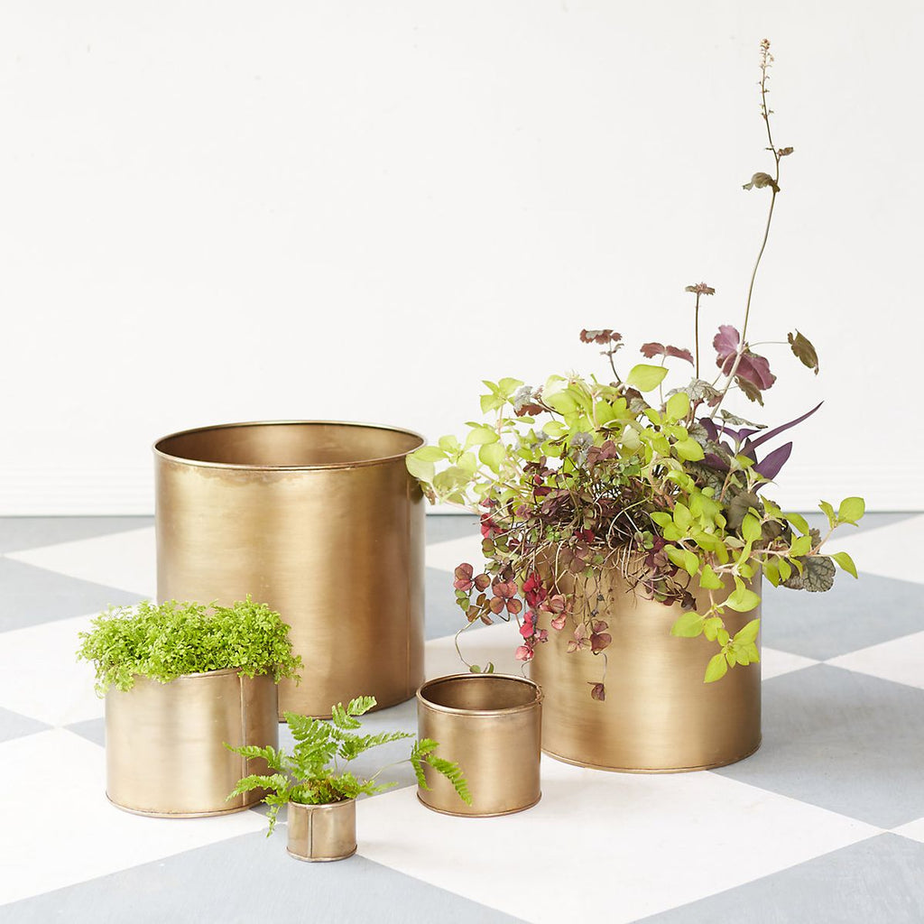 Metal Planters: Making Your Plants Happy and Healthy!
