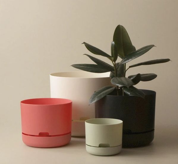 Self-Watering Planters: Ideal Solutions for Busy Plant Owners