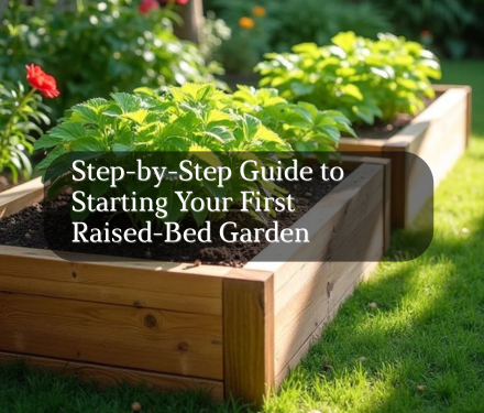 Step-by-Step Guide to Starting Your First Raised-Bed Garden