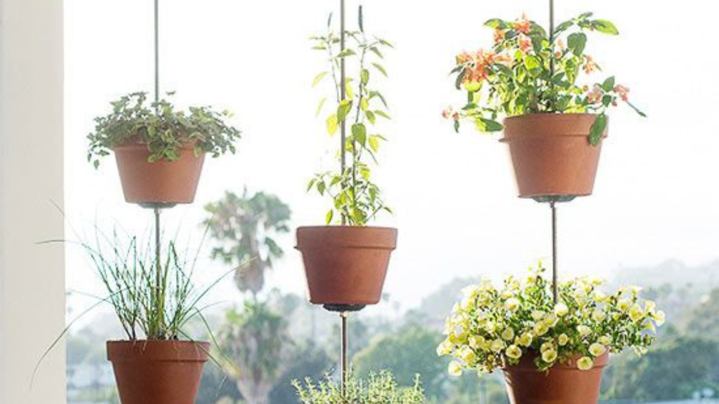 Hanging Plants: A Beautiful Way to Save Space