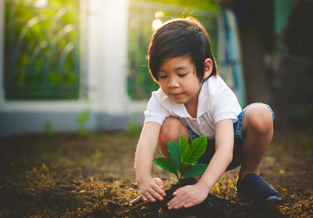 3 FUN TIPS FOR KIDS TO ENJOY GARDENING