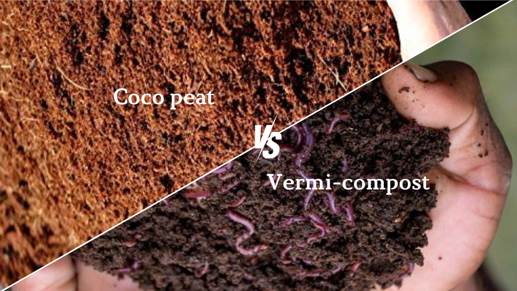 Difference between coco peat and vermi-compost
