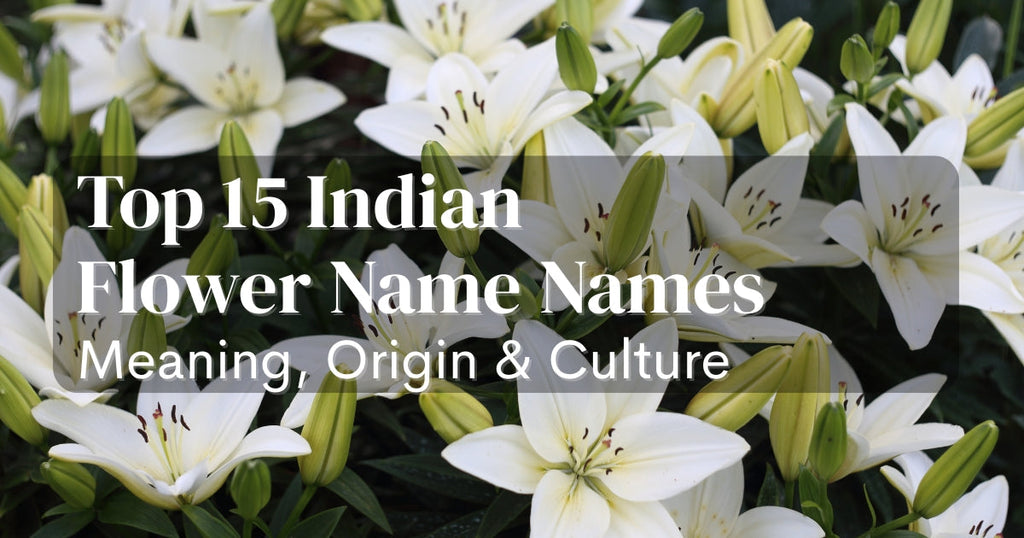 Top 15 Indian Flower Name Names with Meaning, Origin & Culture