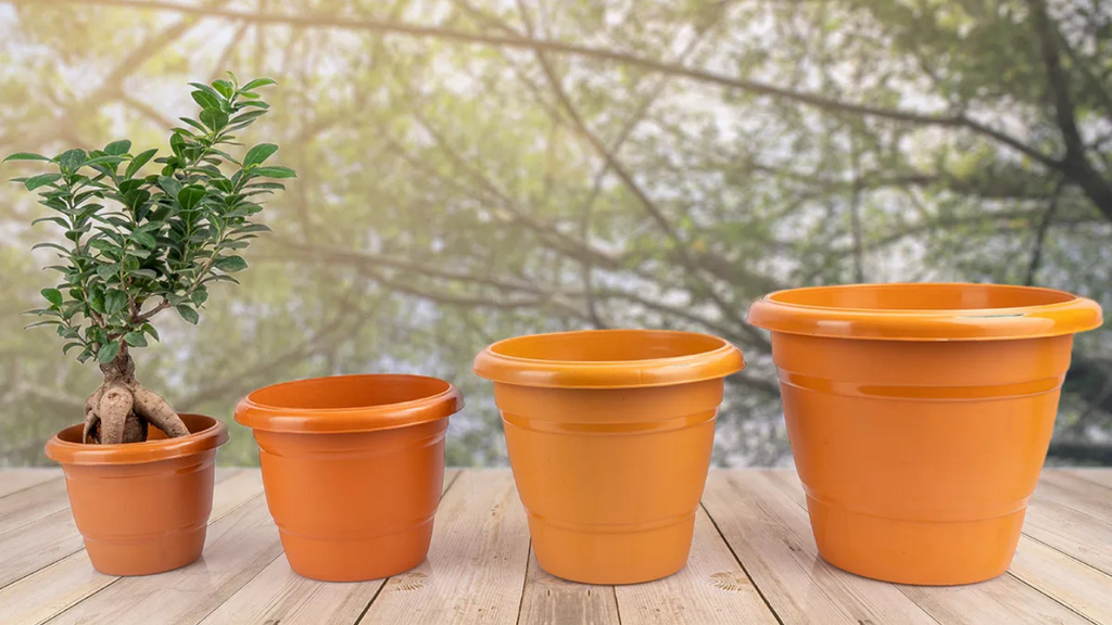 Affordable Plant Pots: Transform Your Space on a Budget 3 Affordable Plant Pots: Transform Your Space on a Budget