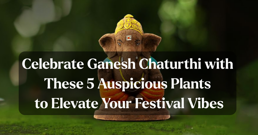 Celebrate Ganesh Chaturthi with These 5 Auspicious Plants to  Elevate Your Festival Vibes