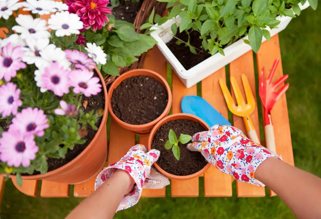 10 Essential Summer Gardening Tasks