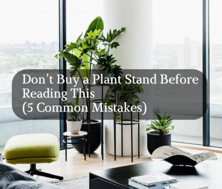 Don’t Buy a Plant Stand Before Reading This (5 Common Mistakes)