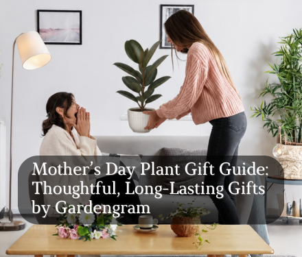 Mother’s Day Plant Gift Guide: Thoughtful, Long-Lasting Gifts by Gardengram