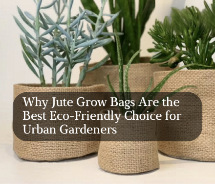 Why Jute Grow Bags Are the Best Eco-Friendly Choice for Urban Gardeners