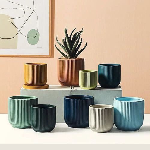 The Elegance of Ceramic Planters