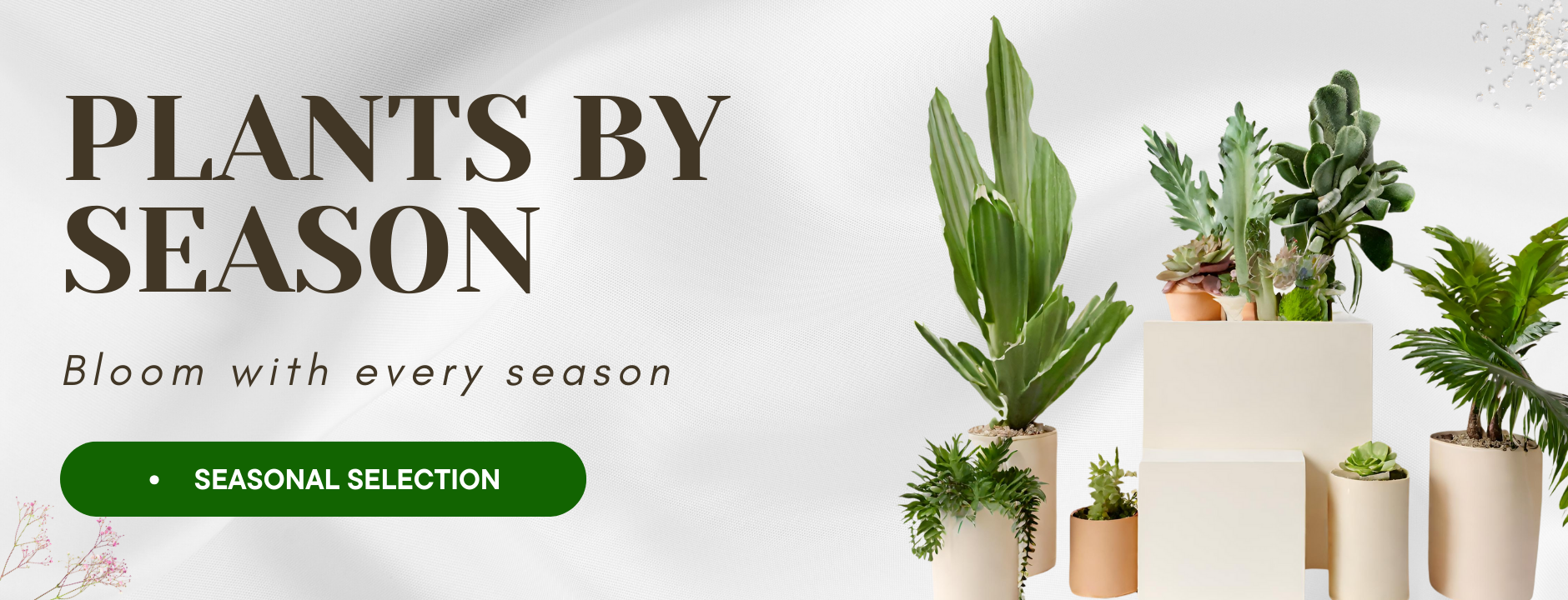 Plants By Season