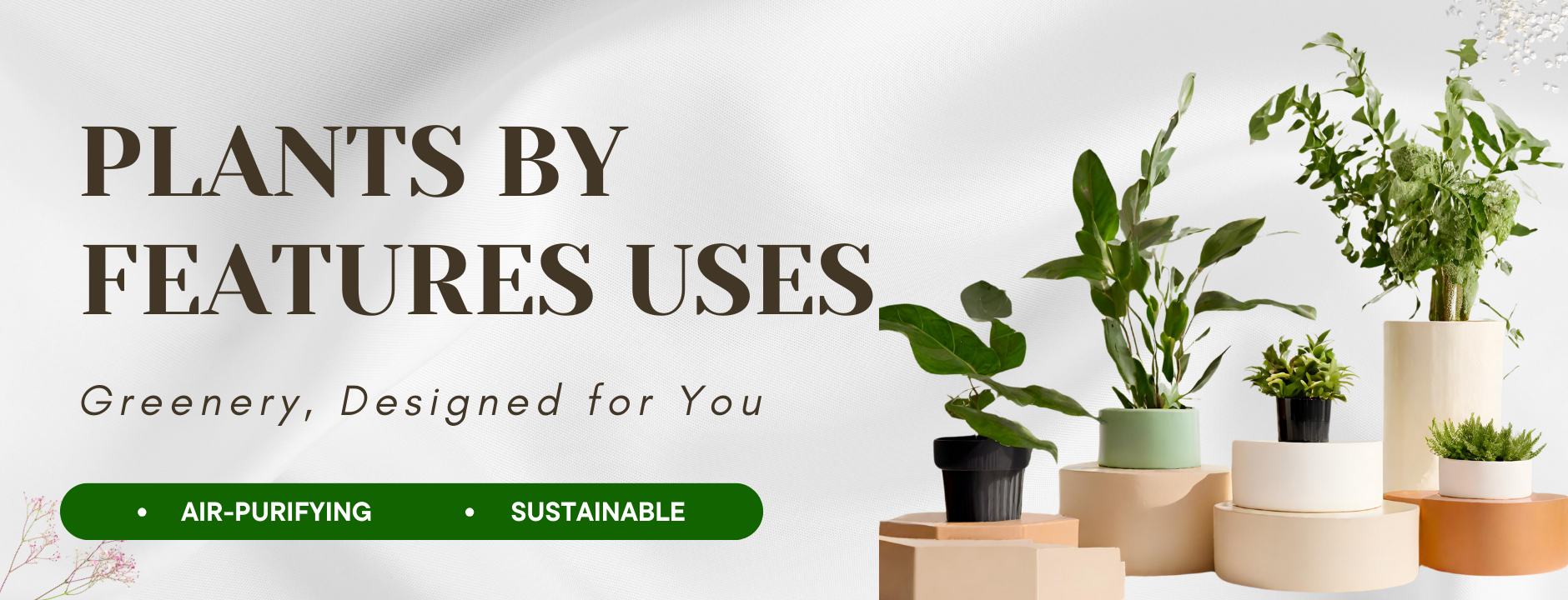 Plants By Features Uses