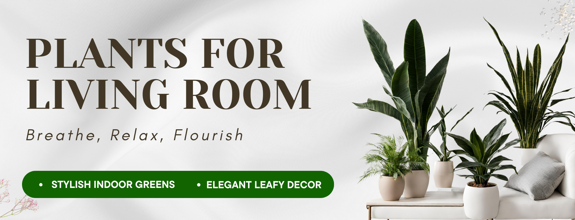 Plants for Living Room