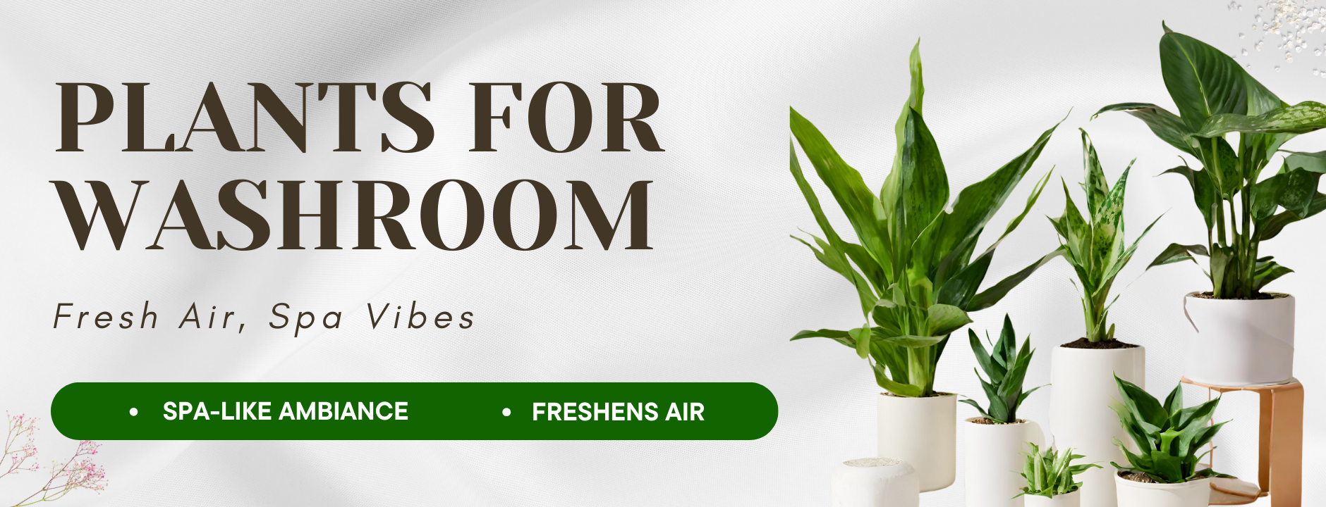 Plants for Washroom