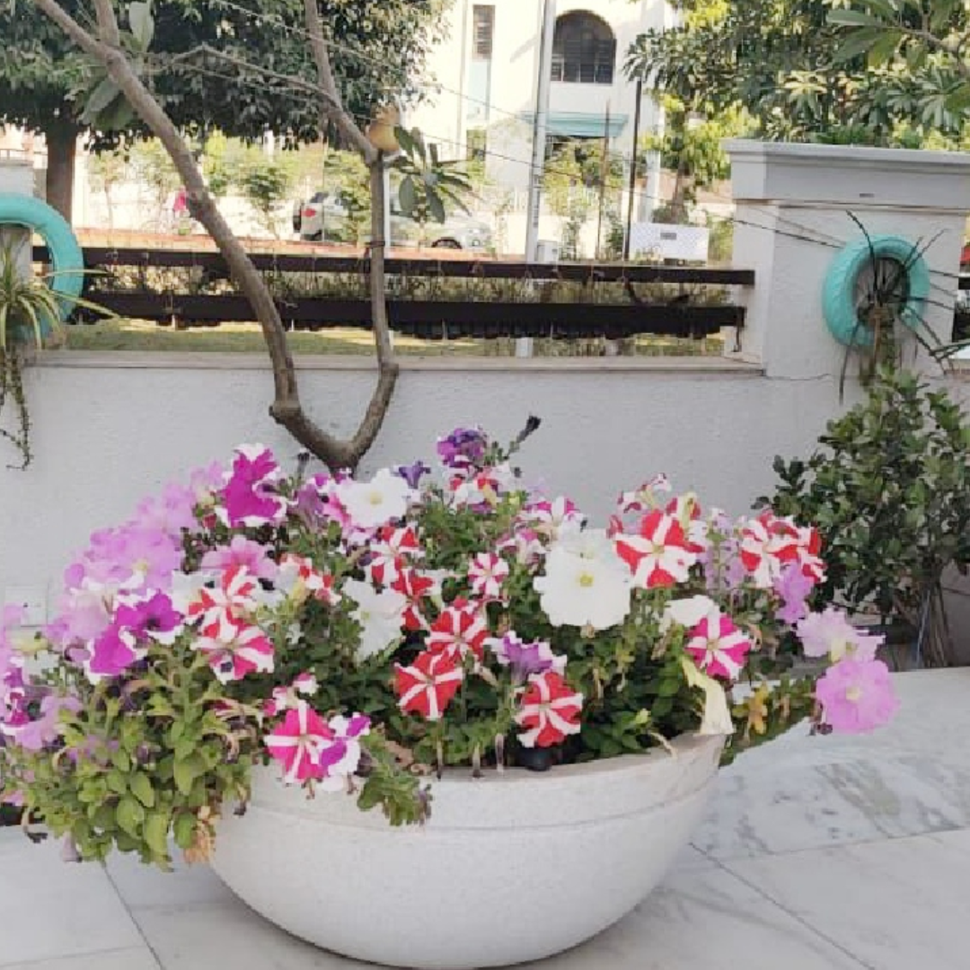Big fountain-style Jasper plastic planter
