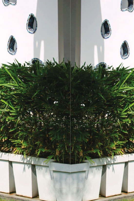 Tulip-shaped planter - size 50
